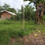 SAVE_20210518_091129