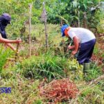 SAVE_20210625_143157