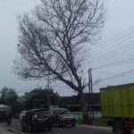 SAVE_20210626_183218