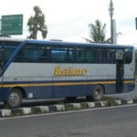 WhatsApp Image 2021-09-18 at 08.36.00 (1)